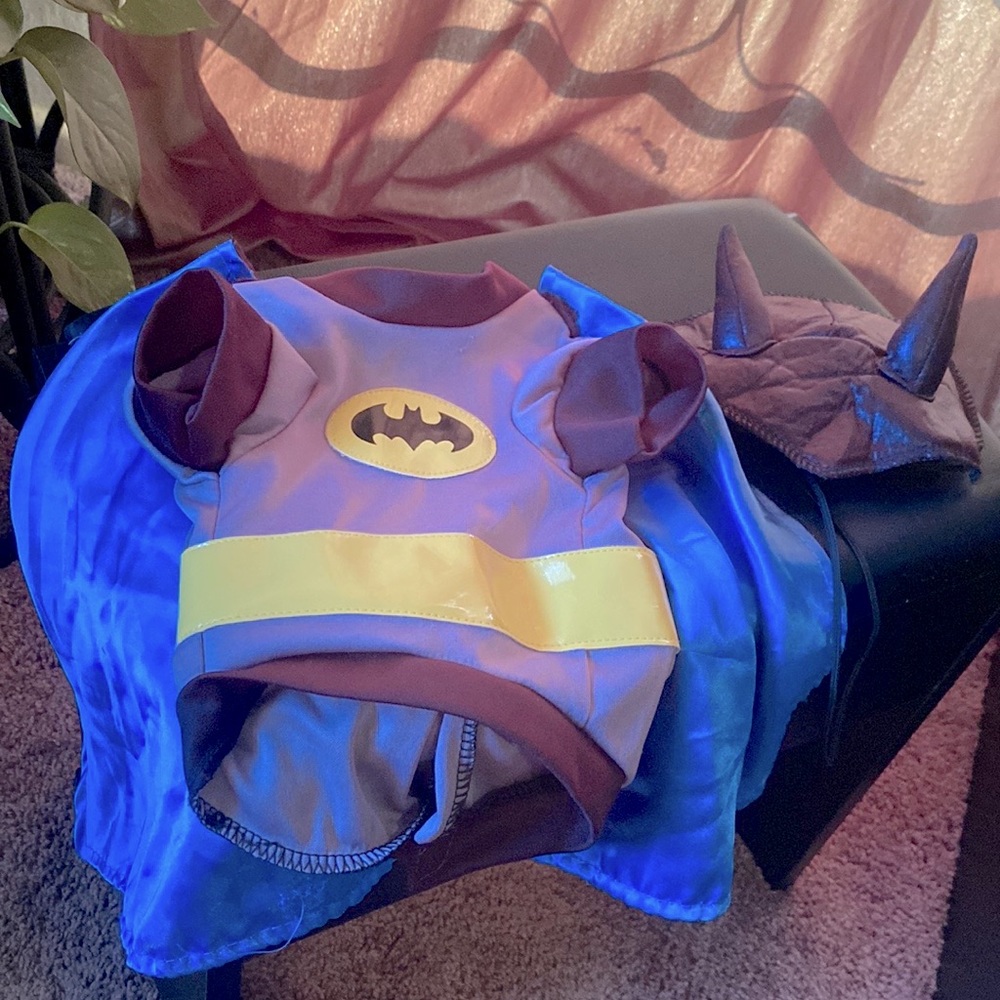 Batman Dog Costume